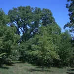 Il Pratone Castiglione d'Orcia